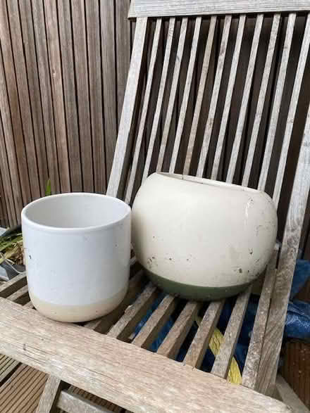 Photo of free 2 Decorative Pots & Viburnum Cuttings (CT11) #1