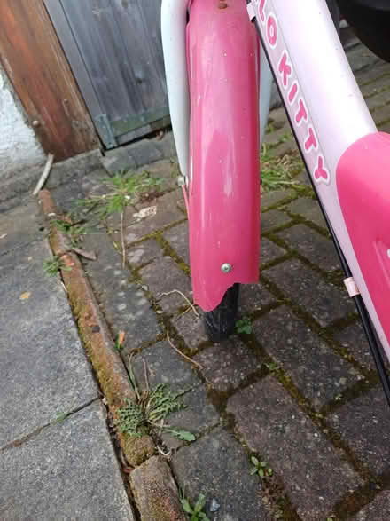Photo of free Girls bicycle with basket (Latchford) #4