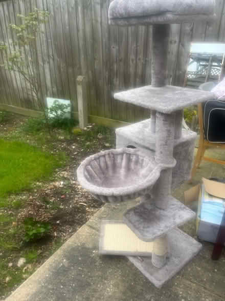 Photo of free cat tree (E4) #1