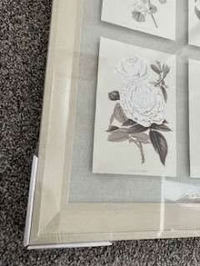Photo of free botanical wall art (Barnt Green CP B45) #2