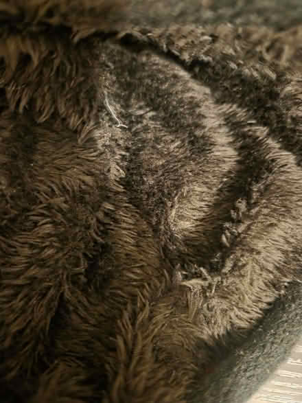 Photo of free Small Teddy (Round Green LU2) #2