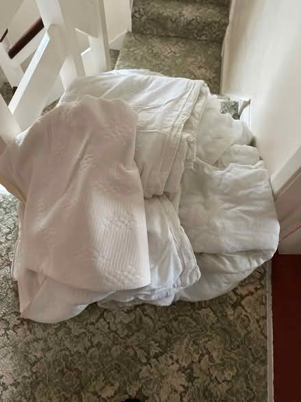 Photo of free pet bedding anyone? (Bromham) #1