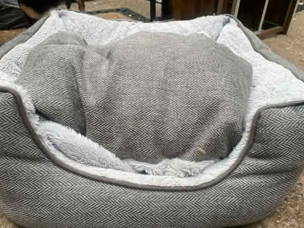 Photo of free Small dog bed (Garston WD25) #3