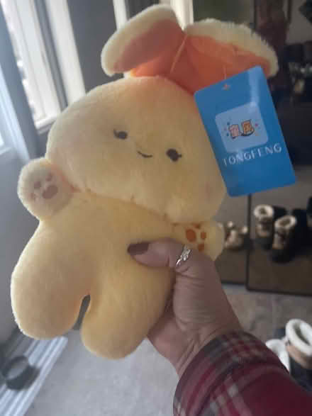 Photo of free NWT stuffed animals (St. Mary’s Hospital area) #1