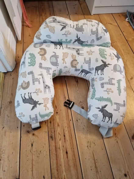 Photo of free Breastfeeding cushion (Bear Flat) #1