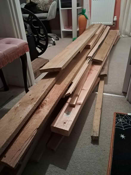 Photo of free Variety of different sizes of wood (Westhampnett) #1