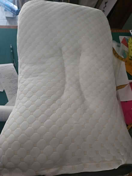 Photo of free Two new neck pillows (Norton) #1