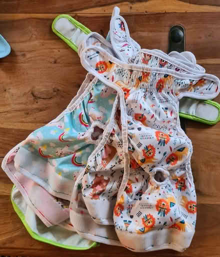 Photo of free Reusable dog nappies (medium size) (Ysceifiog CH7) #1