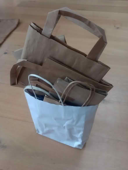 Photo of free Paper bags (Stoughton GU2) #1