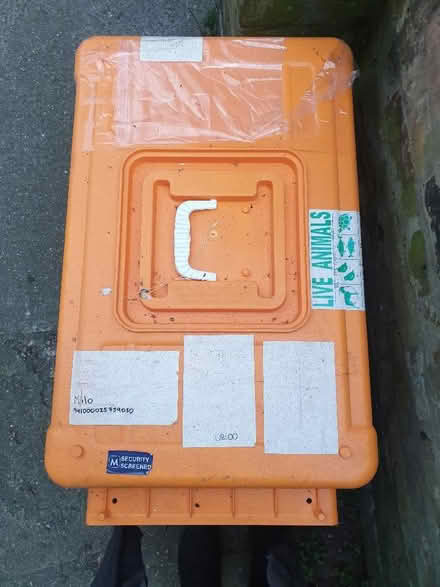 Photo of free Animal carry crate (Lewisham SE13) #3