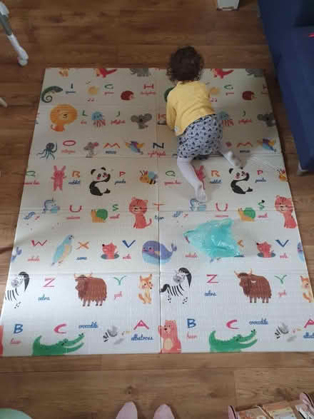 Photo of free Kids playmat (Central park, East Ham E6) #1