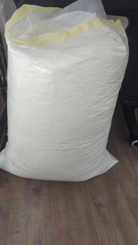 Photo of free Beanbag beans (filler) (Deganwy LL31) #1