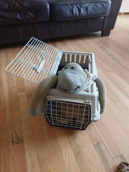 Photo of free Small pet carrier (RG47TQ) #1