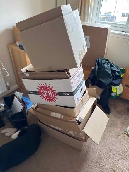 Photo of free Cardboard boxes (Bannockburn, FK7) #1