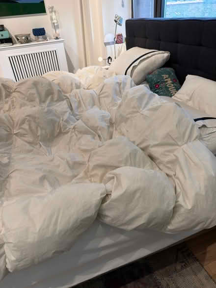 Photo of free King sized comforter (Flatiron) #2
