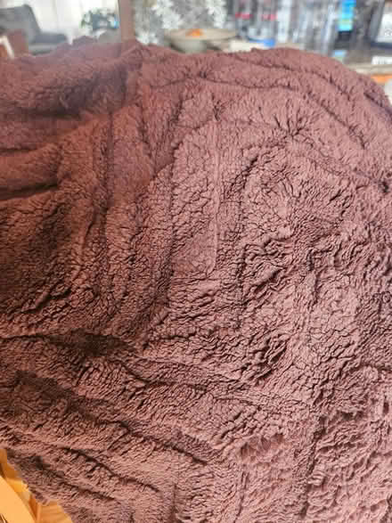 Photo of free New Lounge Chair Slipcover (Norton) #1