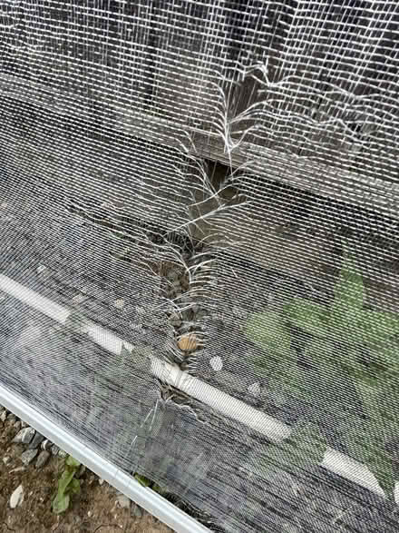 Photo of free Screen door with damage (West San Jose) #3