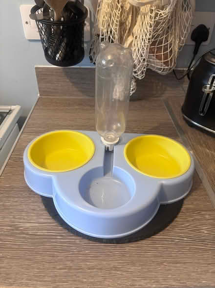 Photo of free Cat food/water bowl (Barry CF62) #1