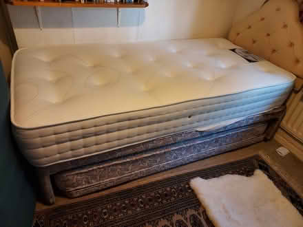 Photo of free Trundle bed incl. high-end mattress (Barnes Close DT10) #1