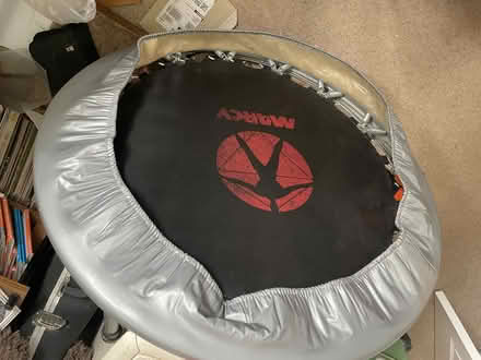 Photo of free Rebounder, exercise mini-trampoline. (Brecon LD3) #1