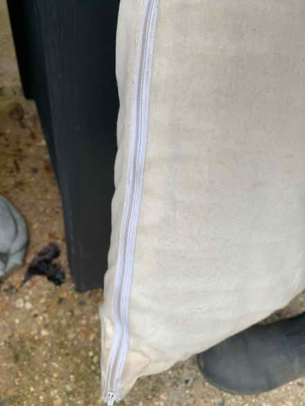 Photo of free Horse hair? small mattress (Ringwood BH24) #2
