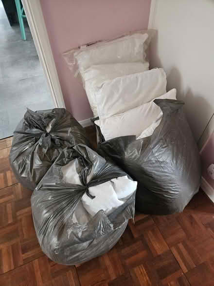 Photo of free Old pillows/duvets for pet bedding? (Dorking RH4) #1