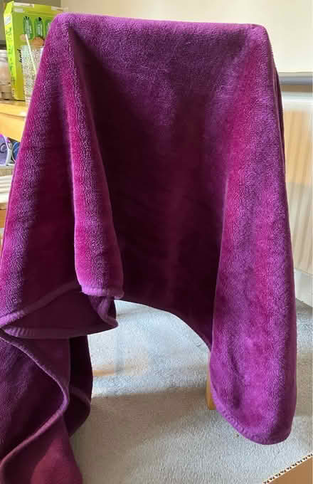 Photo of free Purple blanket (Waddon) #1