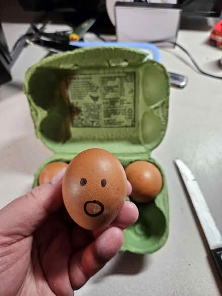 Photo of free Faulty Egg (Worcester WR2) #1