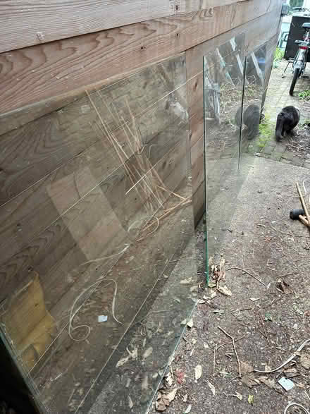 Photo of free 3 panes of glass (Hackney E9) #4