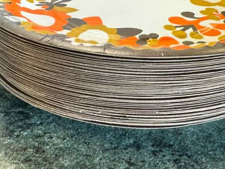 Photo of free 51 x Paper Plates, 29 cm diameter (Chaddesden DE21) #2