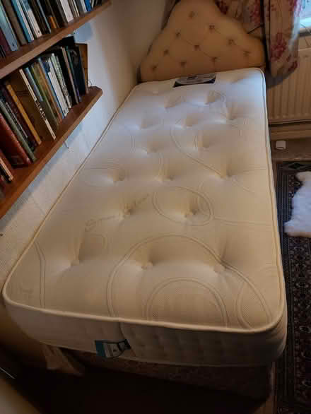 Photo of free Trundle bed incl. high-end mattress (Barnes Close DT10) #2