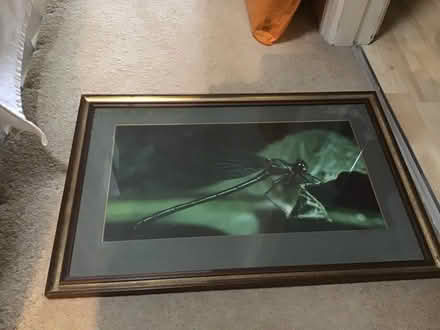 Photo of free Large photo in frame of a dragonfly (Oldfield Park BA2) #1
