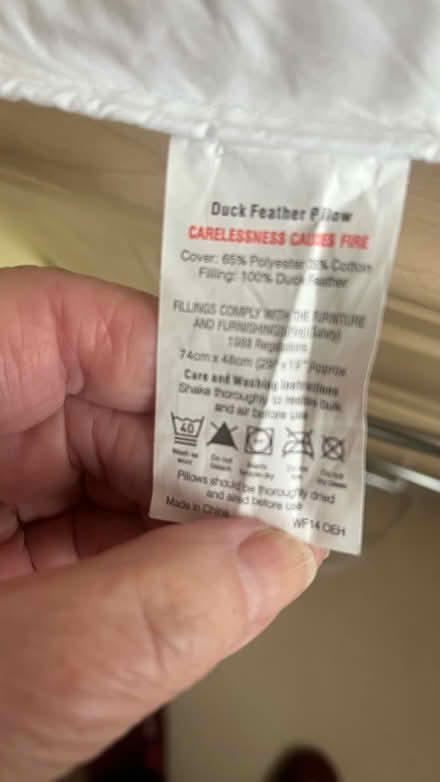 Photo of free Two duck feather pillows (Harlow CM18 staple tye) #2