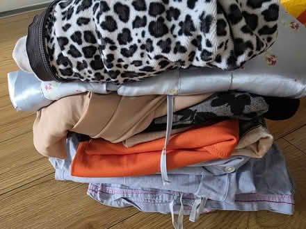 Photo of free Ladies clothes size 12-14 (SG18) #2