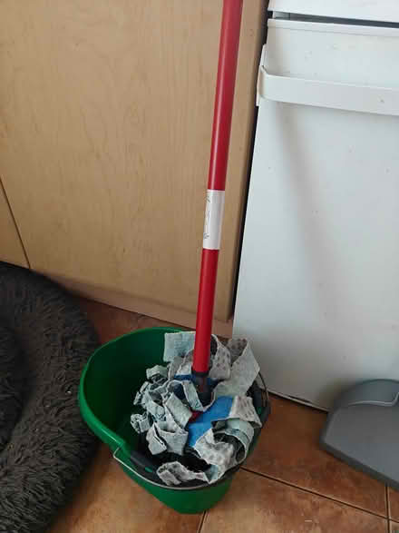Photo of free Mop and bucket (Warrington WA5) #1