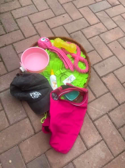 Photo of free Dog stuff (Belle vue Shrewsbury) #1
