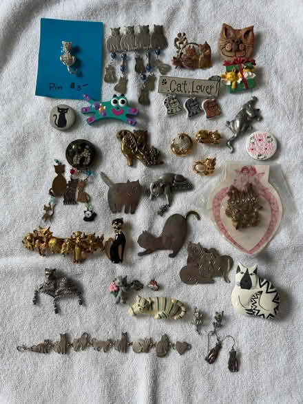 Photo of free cat pins (Davis Sq) #1