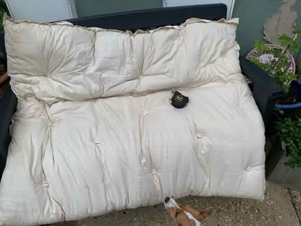 Photo of free Horse hair? small mattress (Ringwood BH24) #1