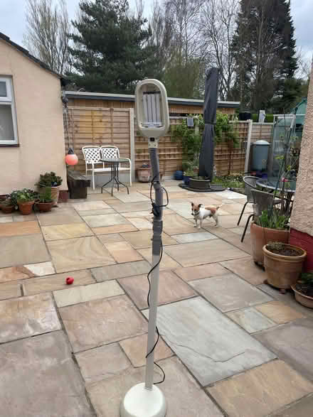 Photo of free Craft Lamp (Latchford WA4) #1