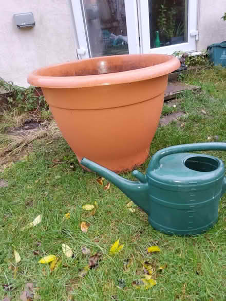 Photo of free Huge Plastic Flower Pot (Marks Tey CO6) #3
