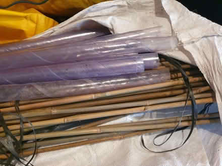 Photo of free Hedge saplings (Nascot Wood WD24) #1