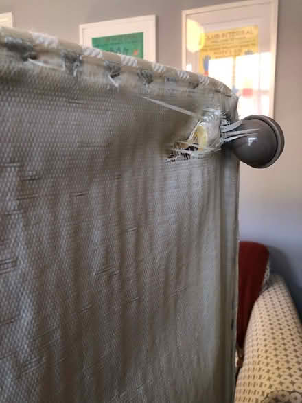 Photo of free Double bed (Kings Heath B14) #2