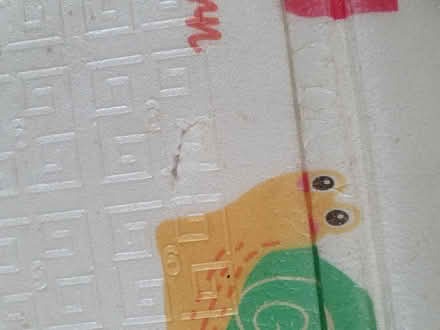 Photo of free Kids playmat (Central park, East Ham E6) #2