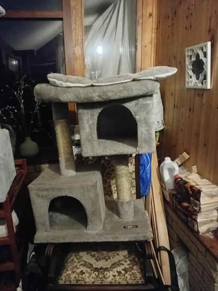 Photo of free Cat tower (Rochdale/Manchester) #4