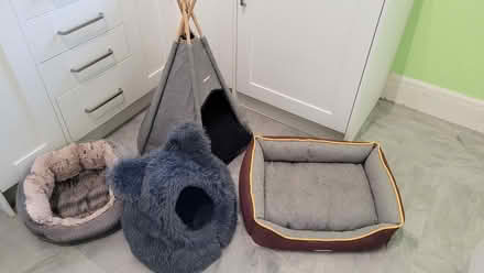 Photo of free 4 cat beds (Turves Green B31) #1