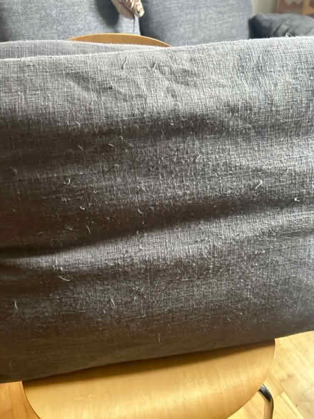 Photo of free Large sofa pillows with cover (Plaistow E13) #2