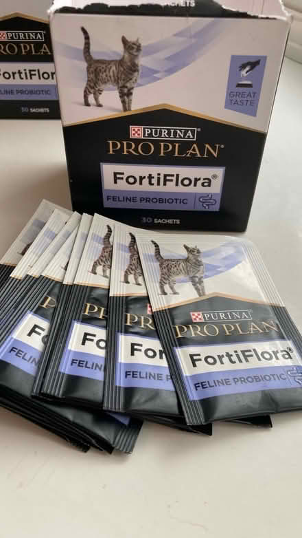 Photo of free Feline Probiotic sachets (expired) (kx/angel - WC1X) #2