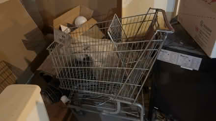 Photo of free Shoppings carts and lawn seeder (SW mpls) #1