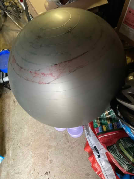 Photo of free exercise ball (Pennyland MK15) #1