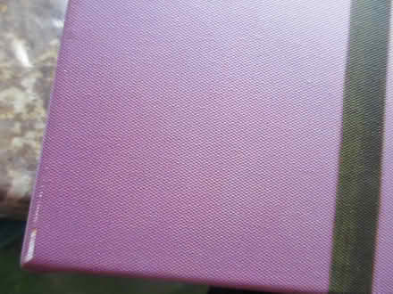 Photo of free Allium Canvas (Dublin 12) #4